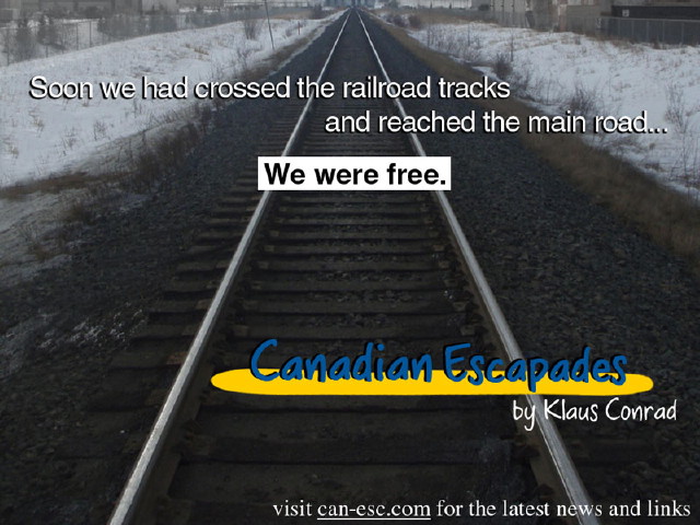 Link to Book poster: We were free.